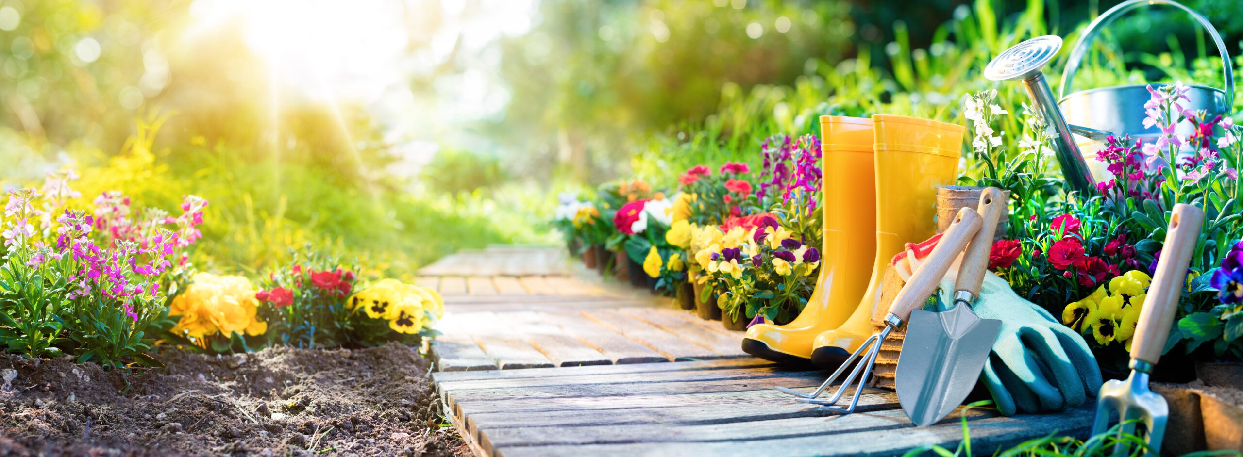 Read more about the article Spring Planting Season? – DON’T RUSH IT!
