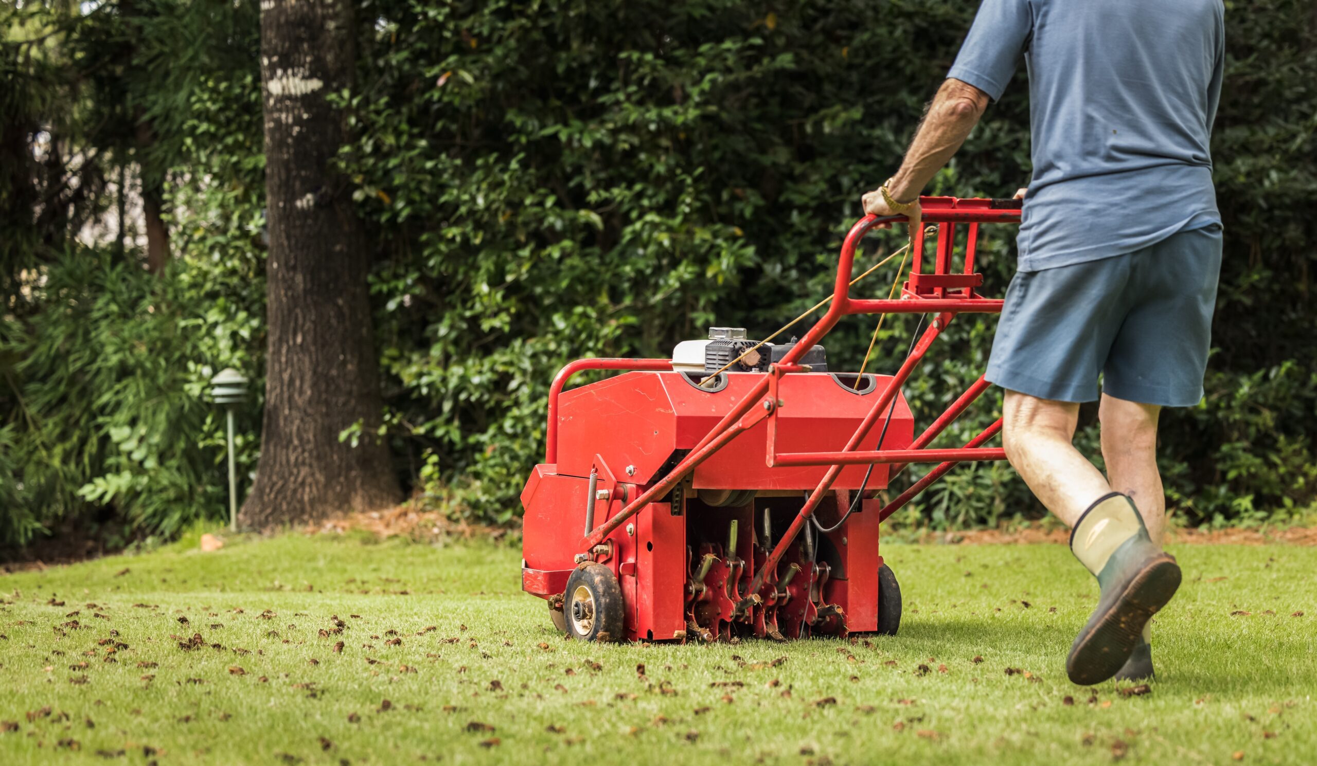 Read more about the article Fall Lawn Care – 4 Easy Steps