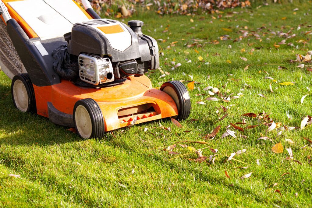 Fall Lawn Care