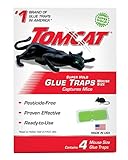 Tomcat Glue Traps